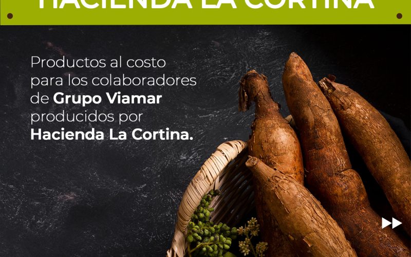 Grupo Viamar lanza el “Mercadito de Hacienda La Cortina” para fomentar la sustentabilidad y contribuir al bienestar de sus colaboradores