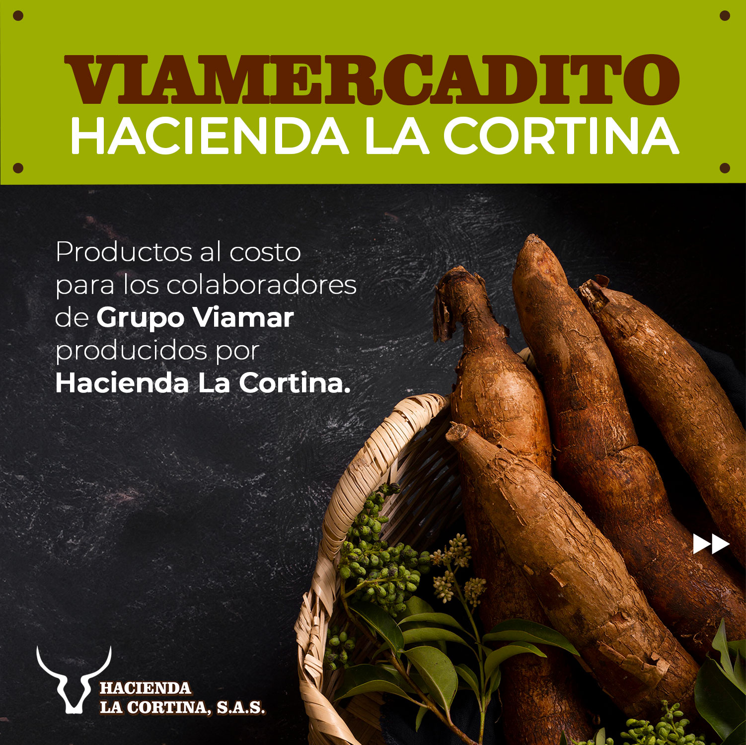 Grupo Viamar lanza el “Mercadito de Hacienda La Cortina” para fomentar la sustentabilidad y contribuir al bienestar de sus colaboradores