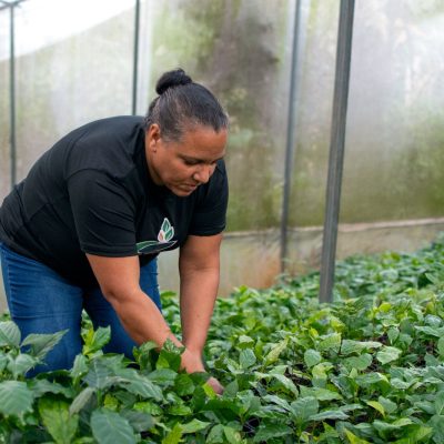 Liderazgo Femenino y Sostenibilidad: El Café Artesanal Mimín de República Dominicana es premiado en el 25 Aniversario de Donativos Ambientales Ford.