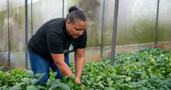 Liderazgo Femenino y Sostenibilidad: El Café Artesanal Mimín de República Dominicana es premiado en el 25 Aniversario de Donativos Ambientales Ford.